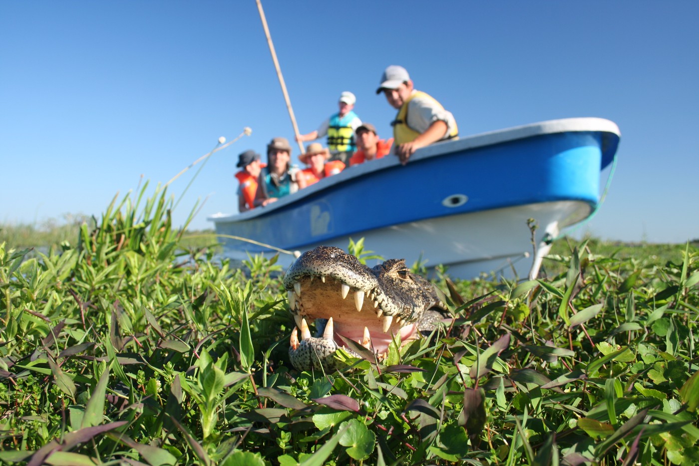 Pesca deportiva y ecoturismo: propuestas imperdibles para este invierno en Corrientes