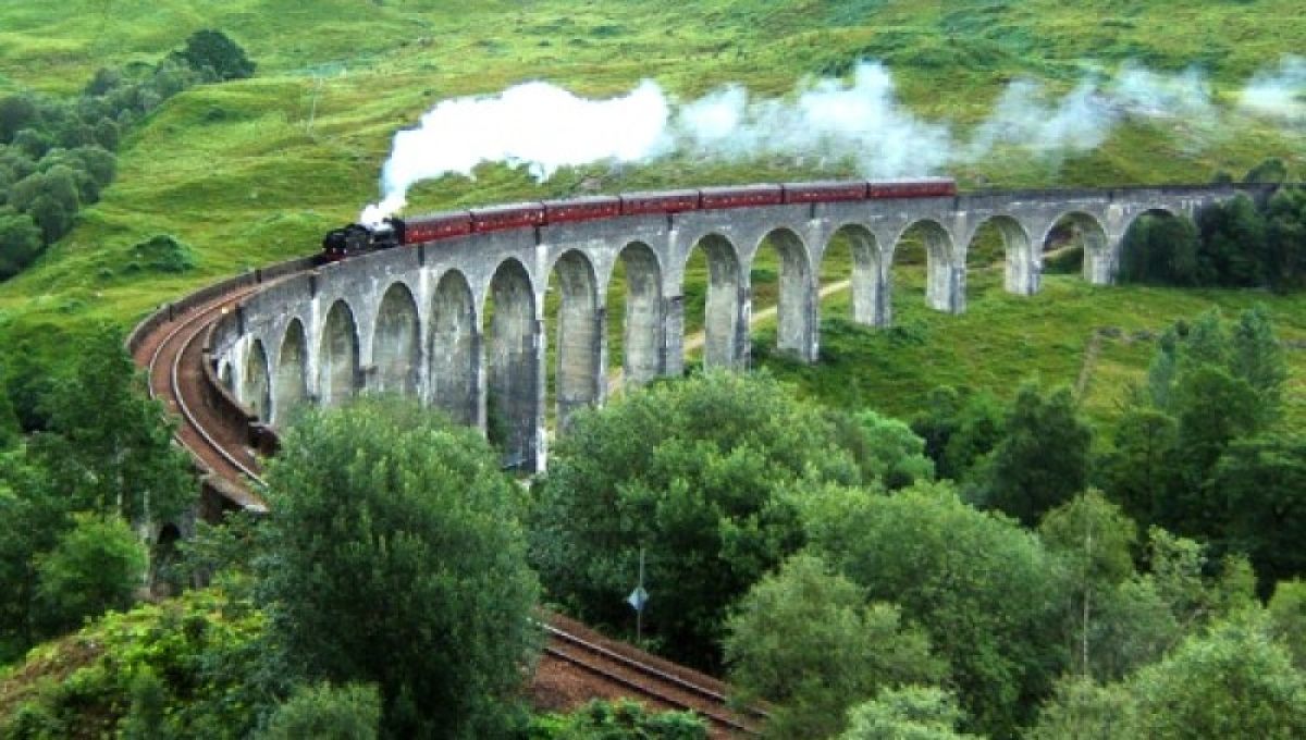 Harry Potter tren